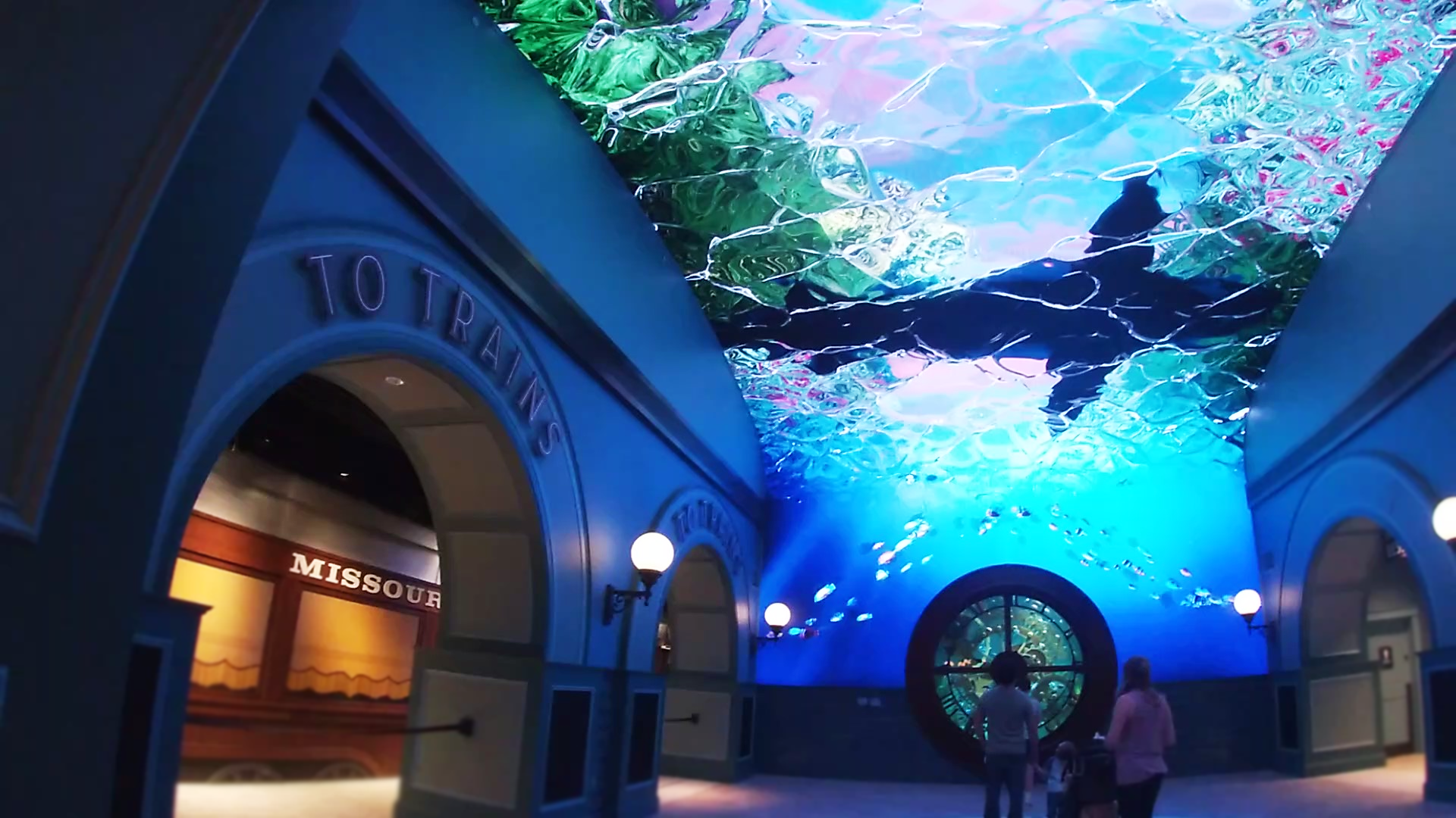 Grand Plaza + African Cichlid Tank - Mar. 2022