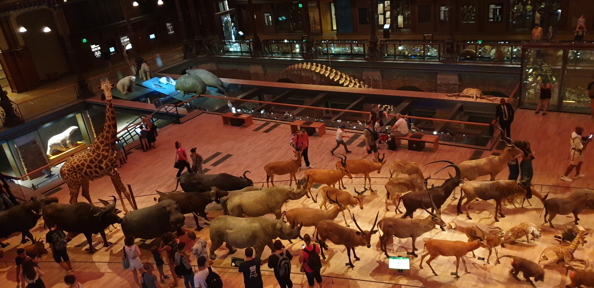 Grande Galerie de L'Evolution