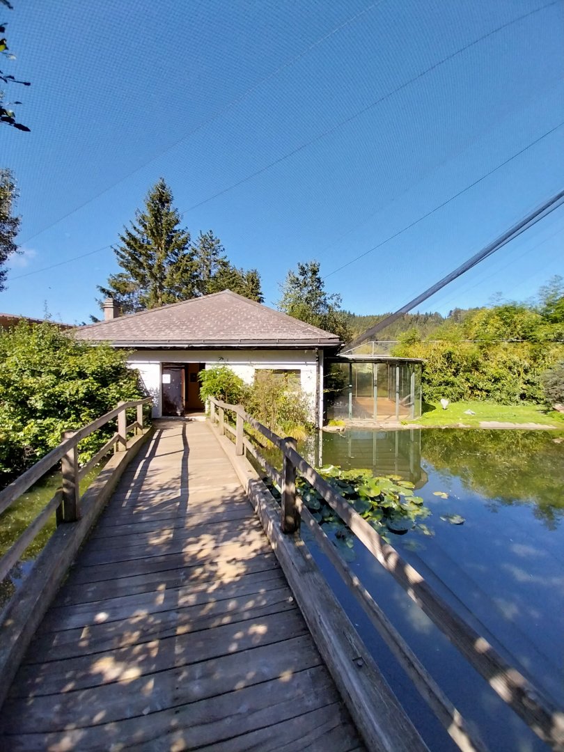 Grande Volière - Winter quarters