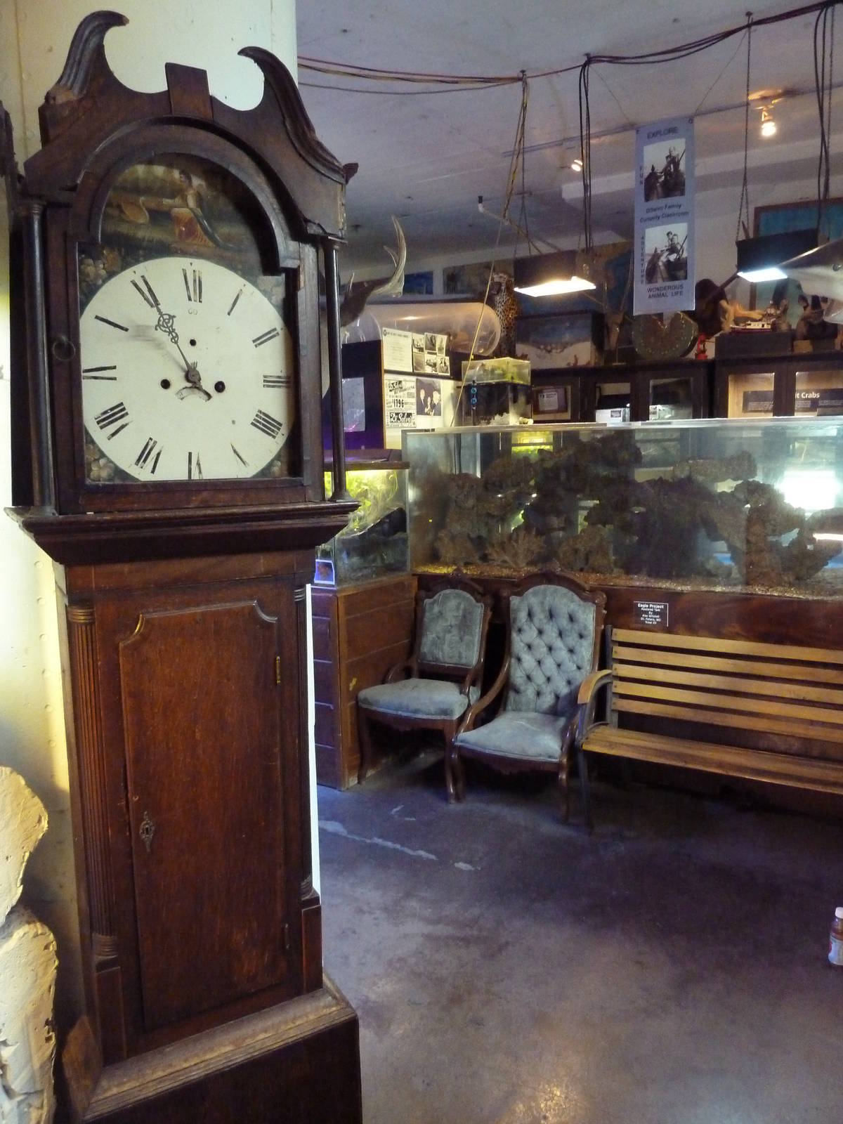 Grandfather Clock + Assorted Junk