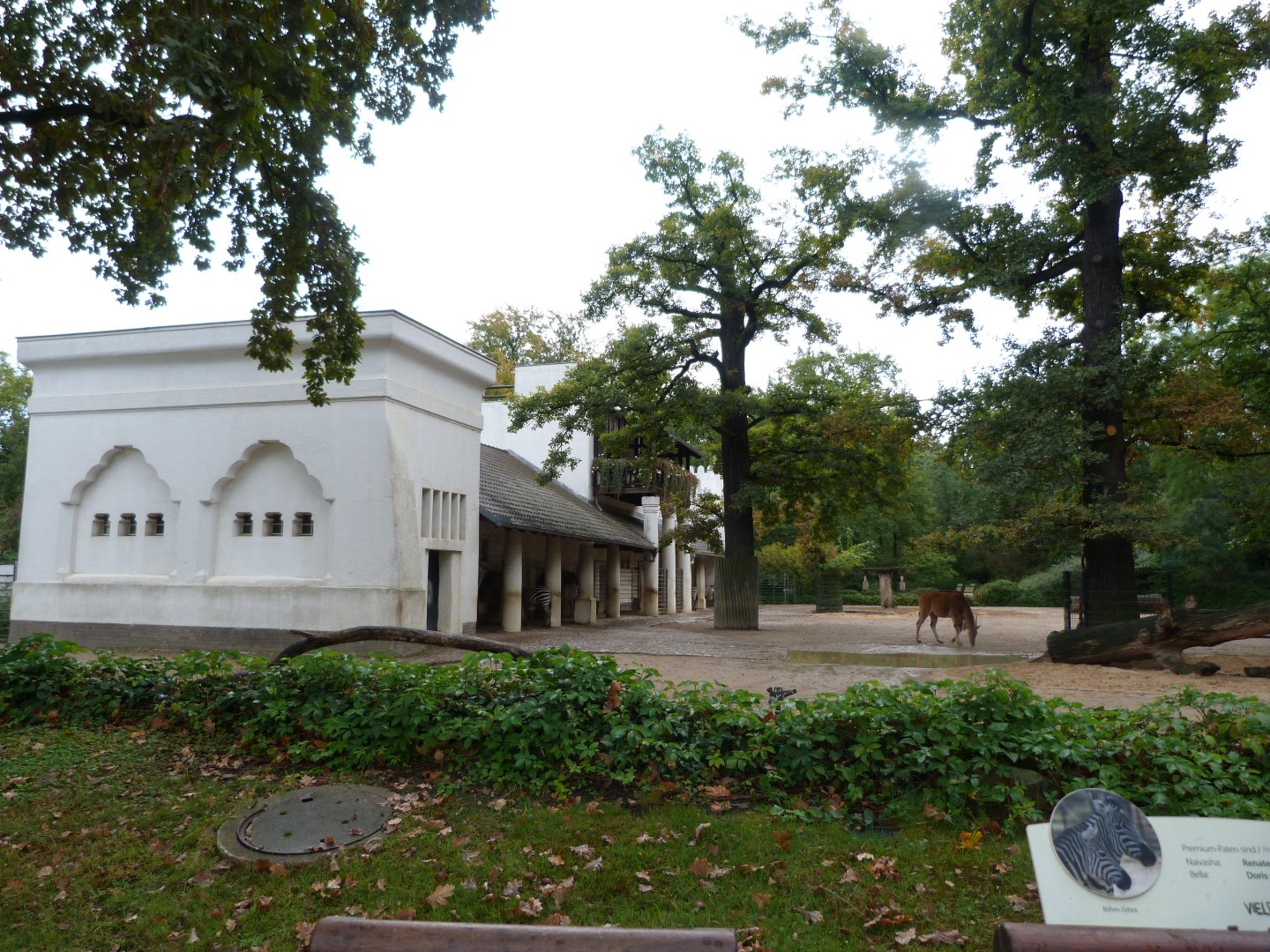 Grant's zebra and Common eland exhibit -Zoologischer Garten Berlin (2024)