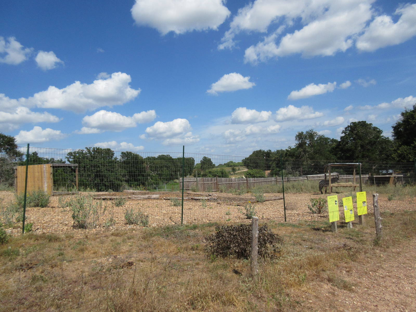 Grant's Zebra/Blue Wildebeest Exhibit