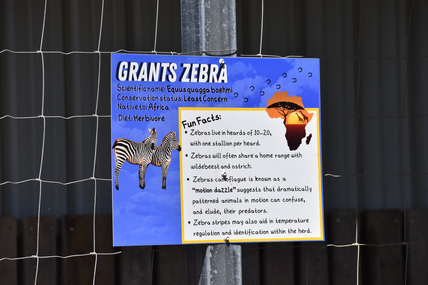 Grants Zebra Educational Sign