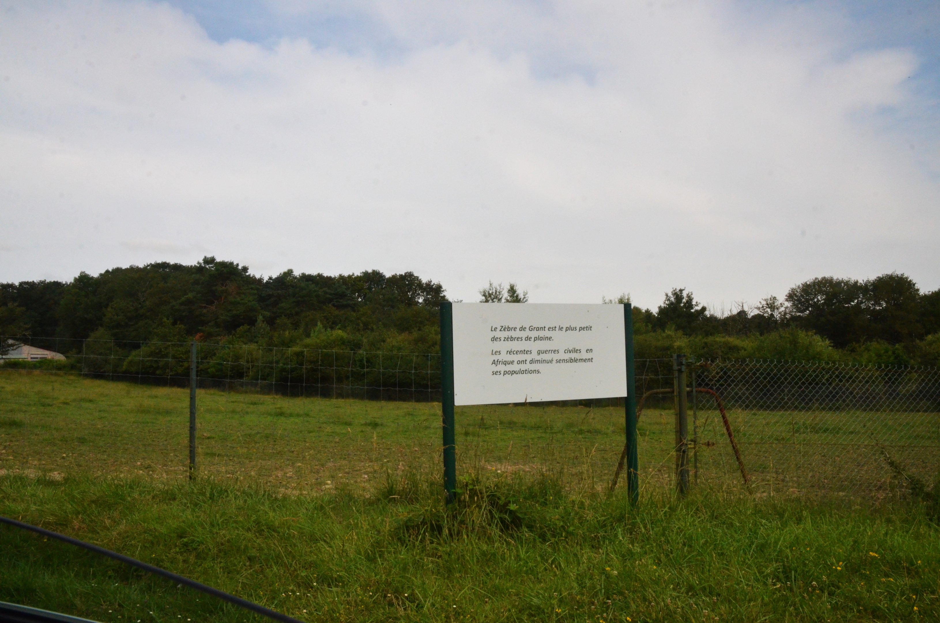 Grant's Zebra Enclosure at Haute-Touche, 14/06/18