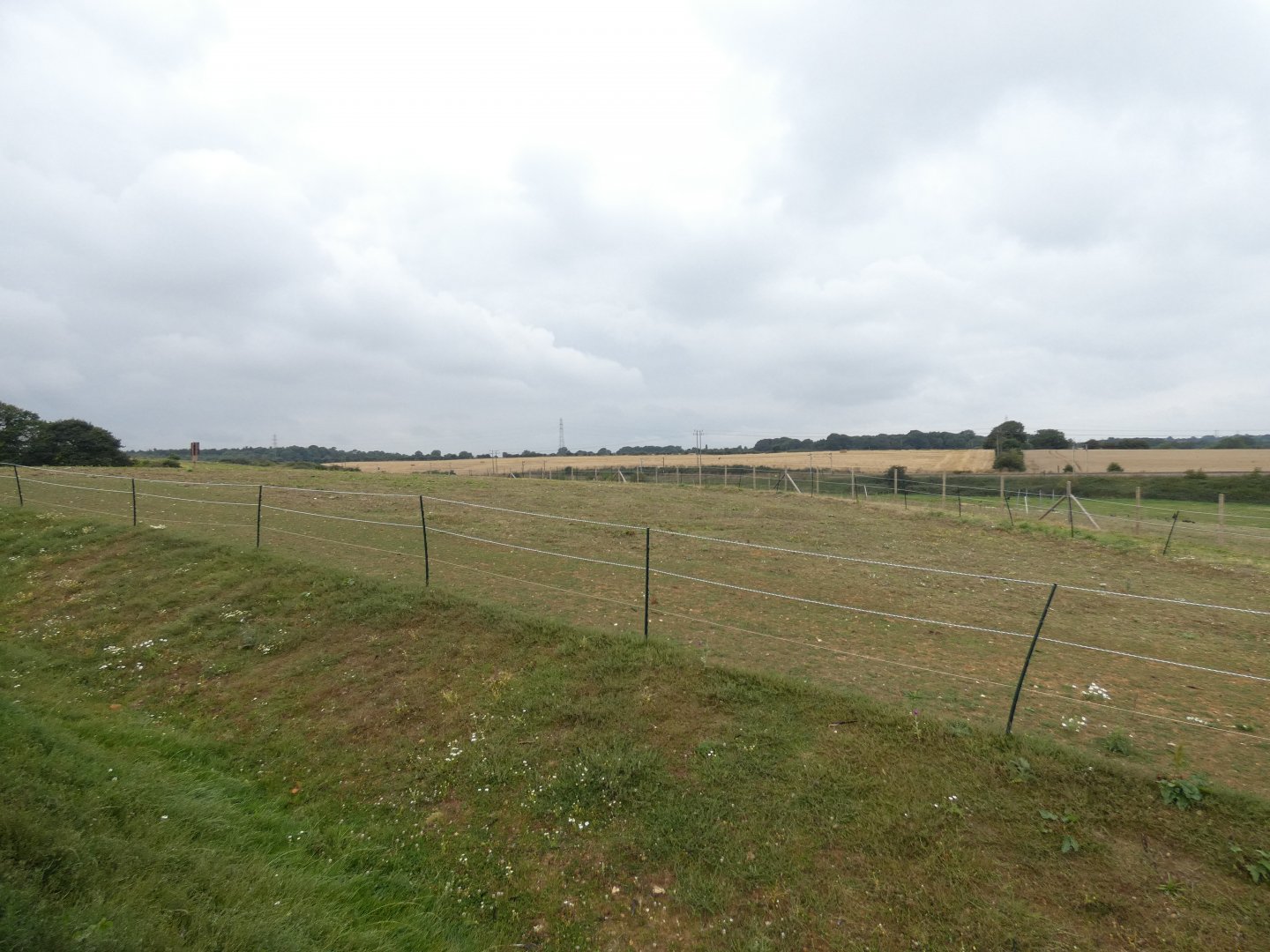 Grant's zebra enclosure