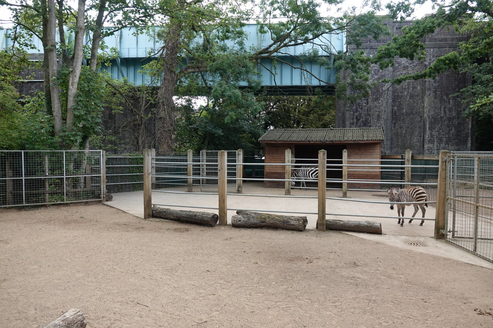 Grant's zebra enclosure