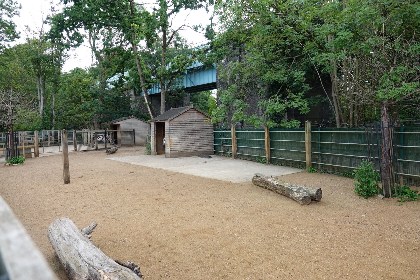 Grant's zebra enclosure