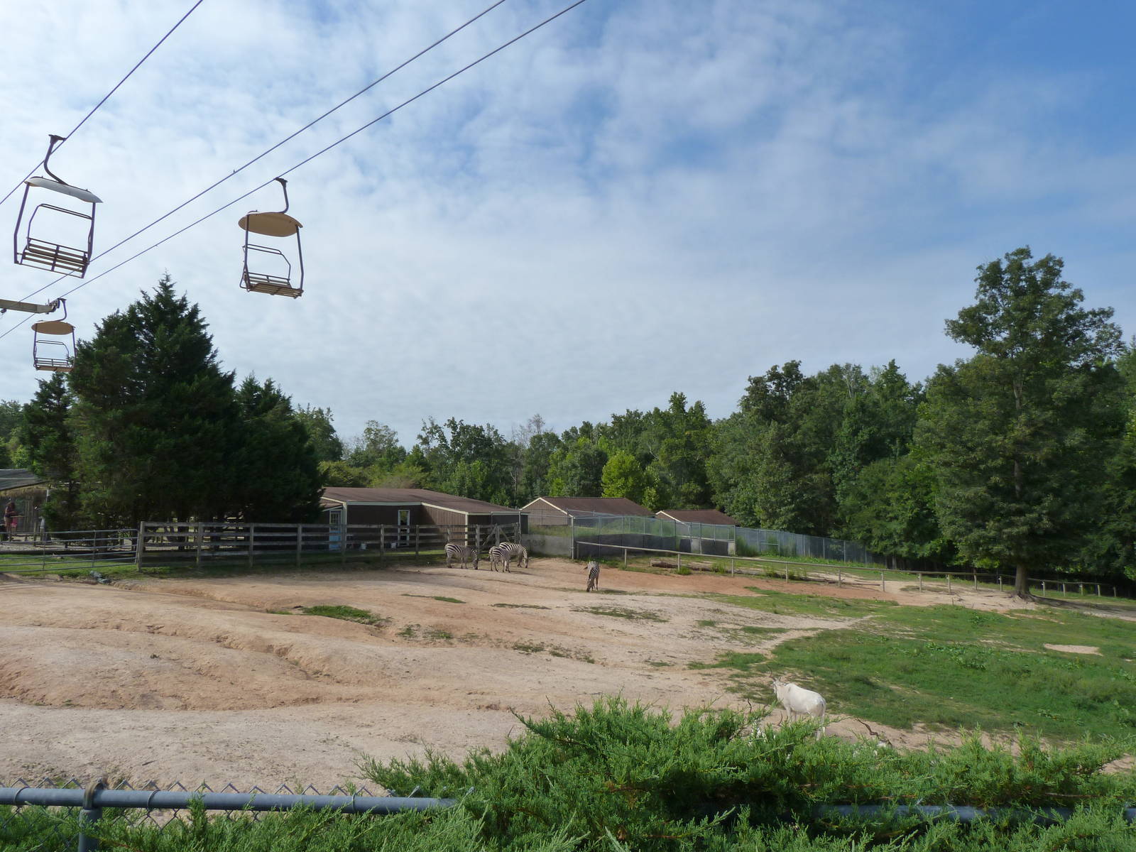 Grant's Zebra Exhibit - August 2014