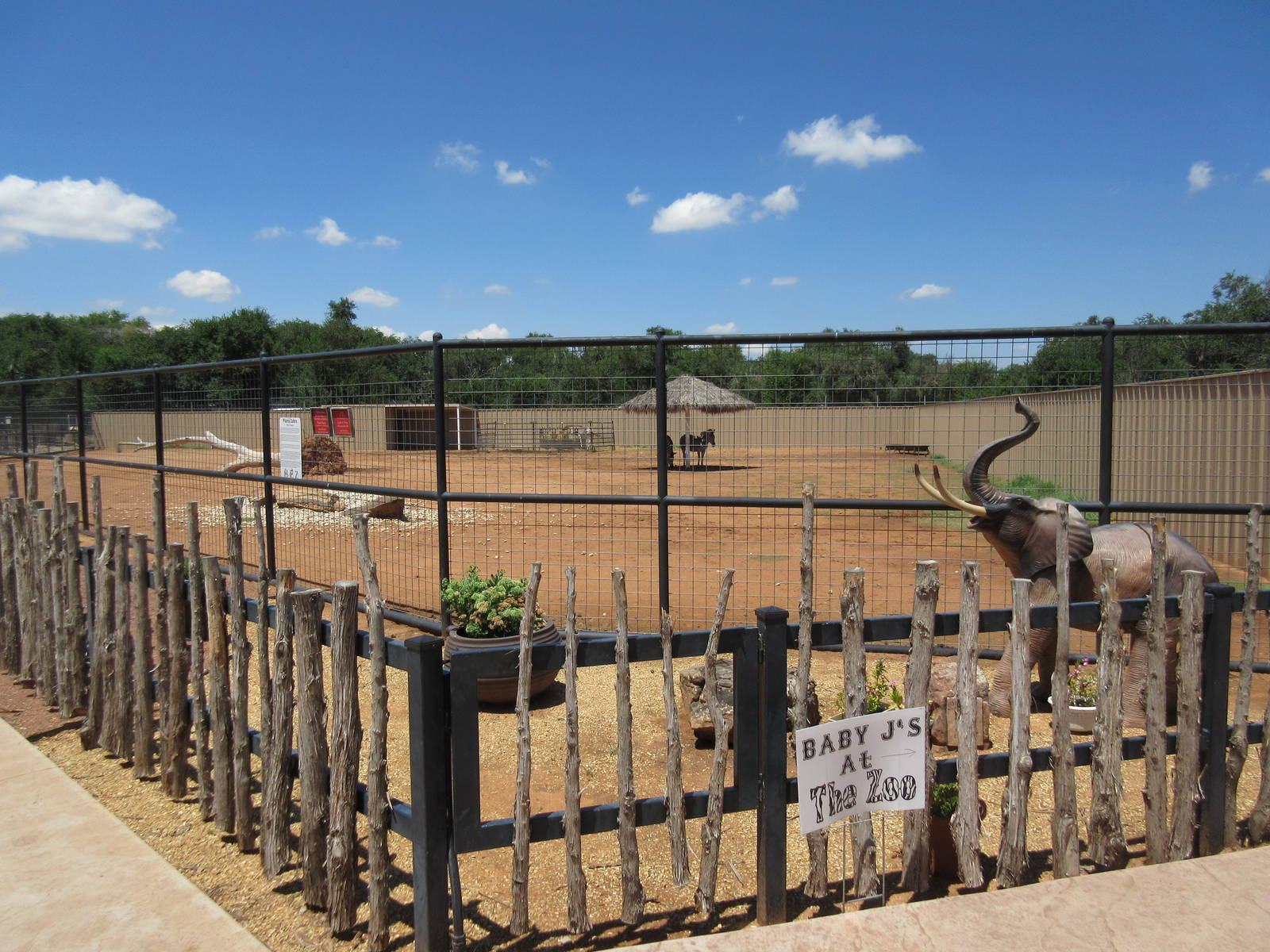 Grant's Zebra Exhibit (New in 2014)