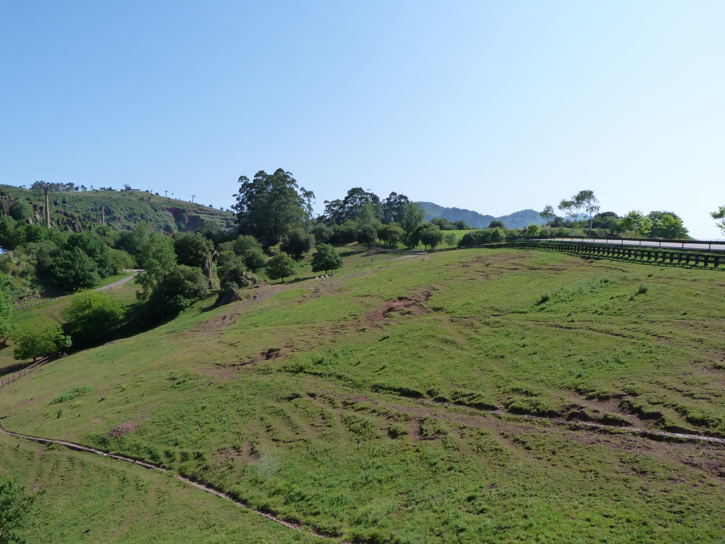 Grant's zebra exhibit -Parque de la Naturaleza de Cabárceno (2025)