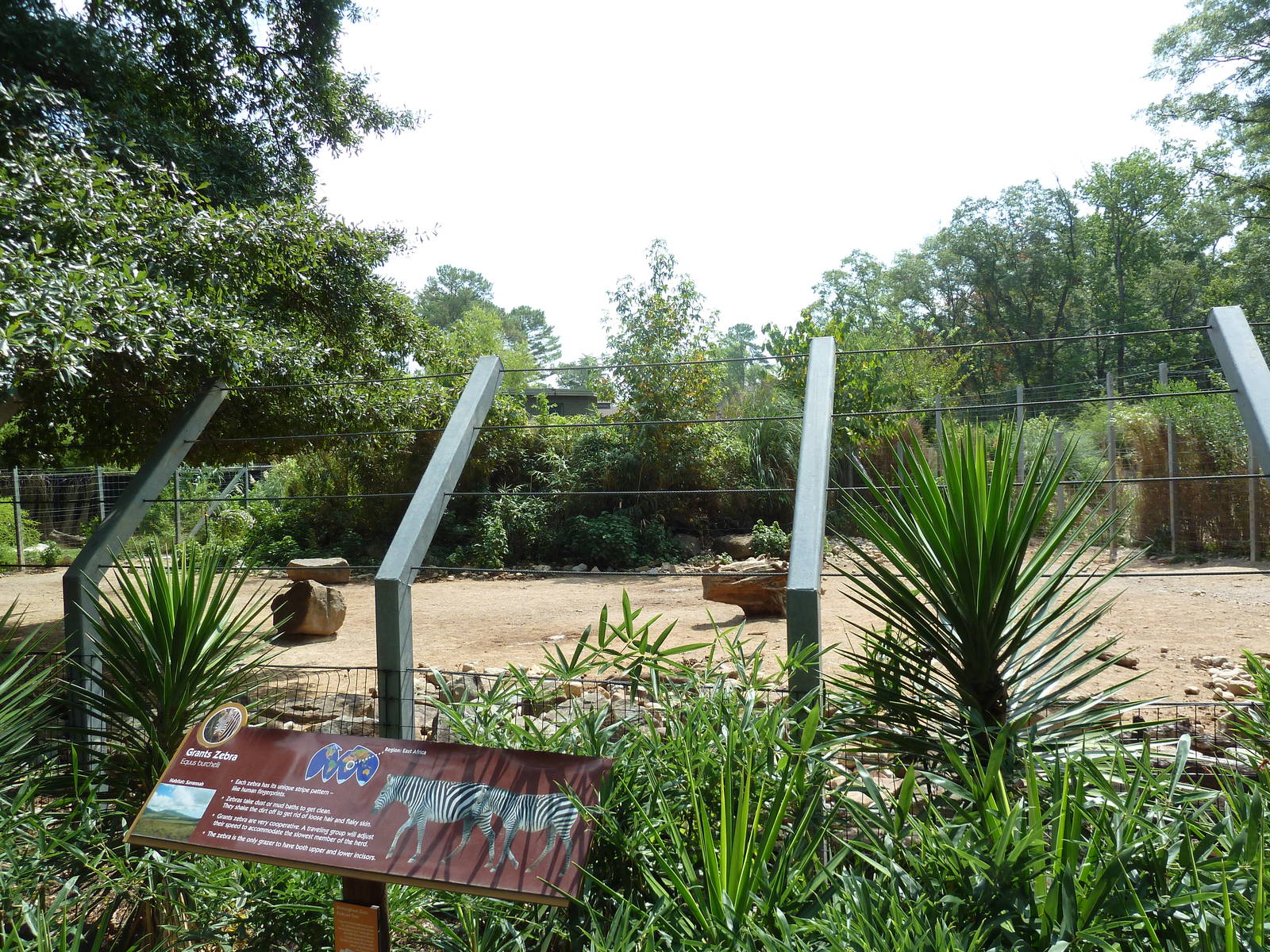 Grant's Zebra Exhibit