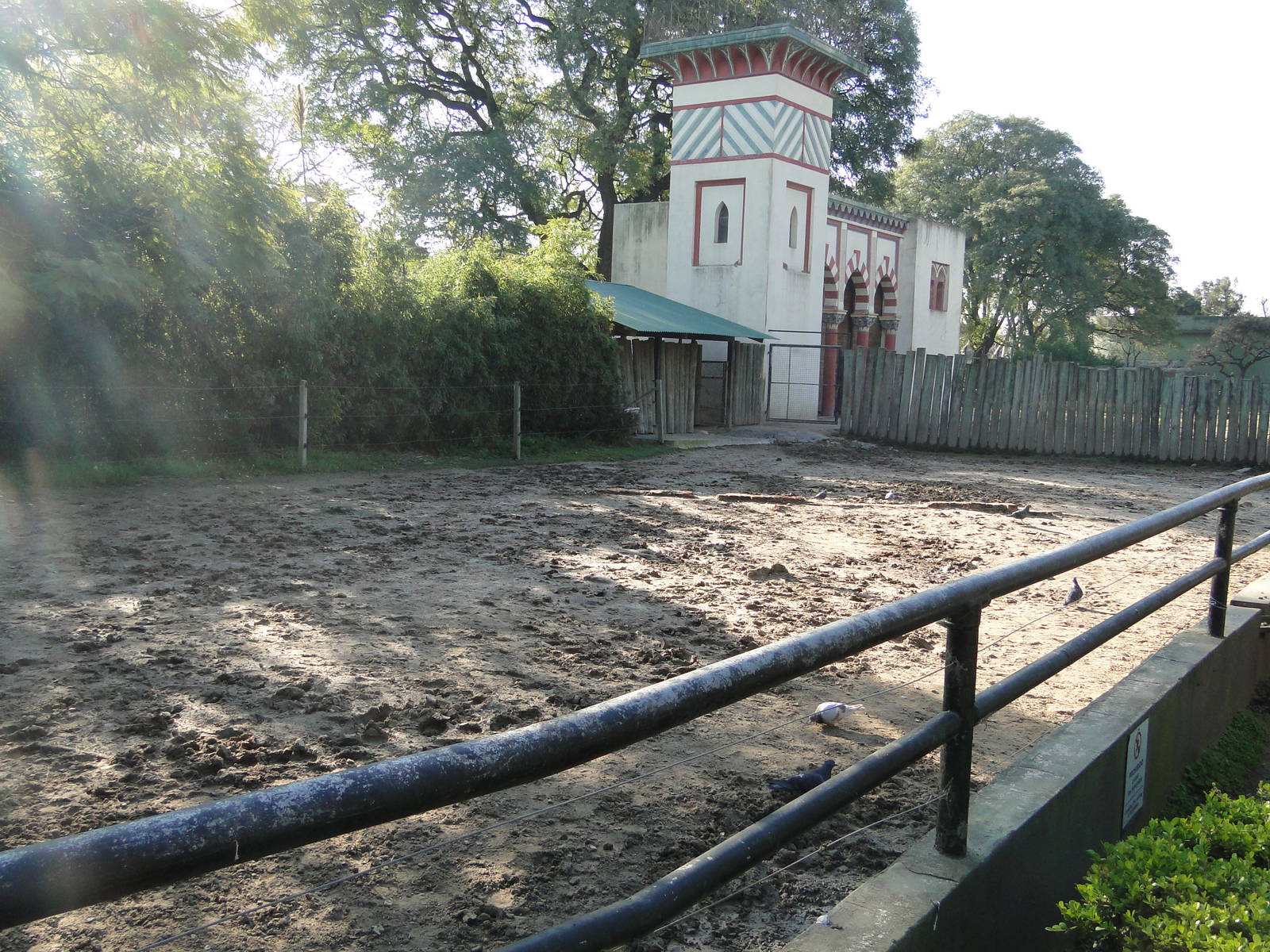 Grant's zebra exhibit