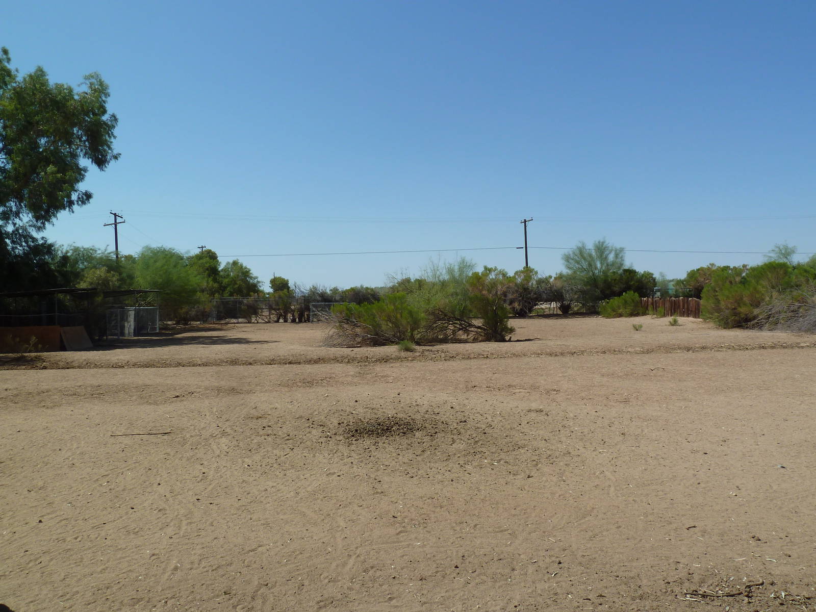 Grant's Zebra Exhibit