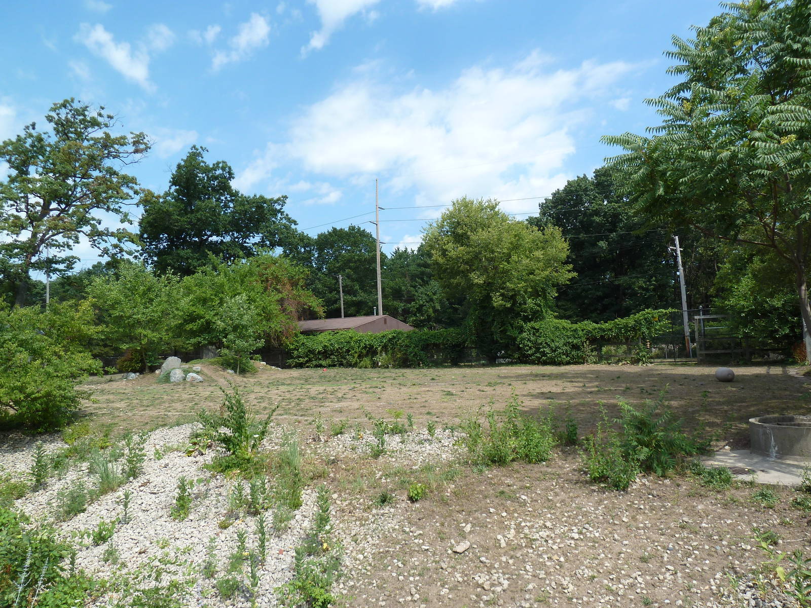 Grant's Zebra Exhibit