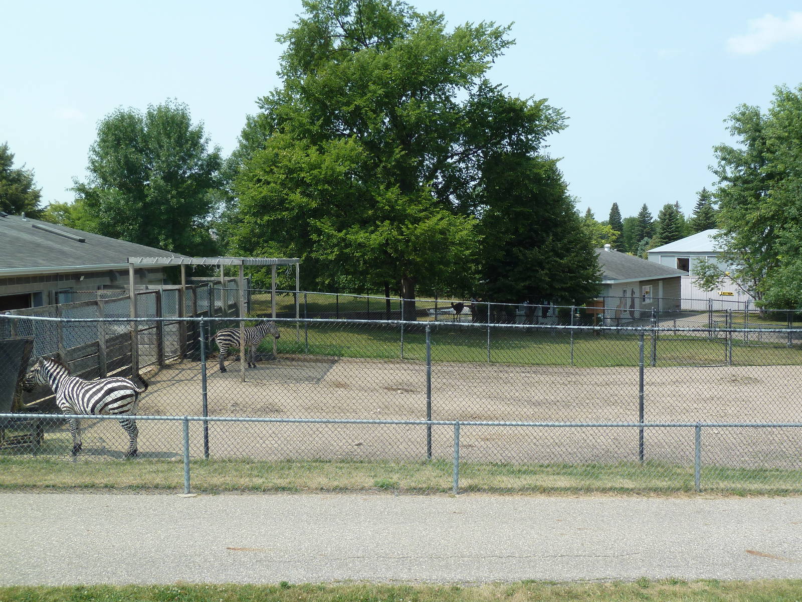 Grant's Zebra Exhibit