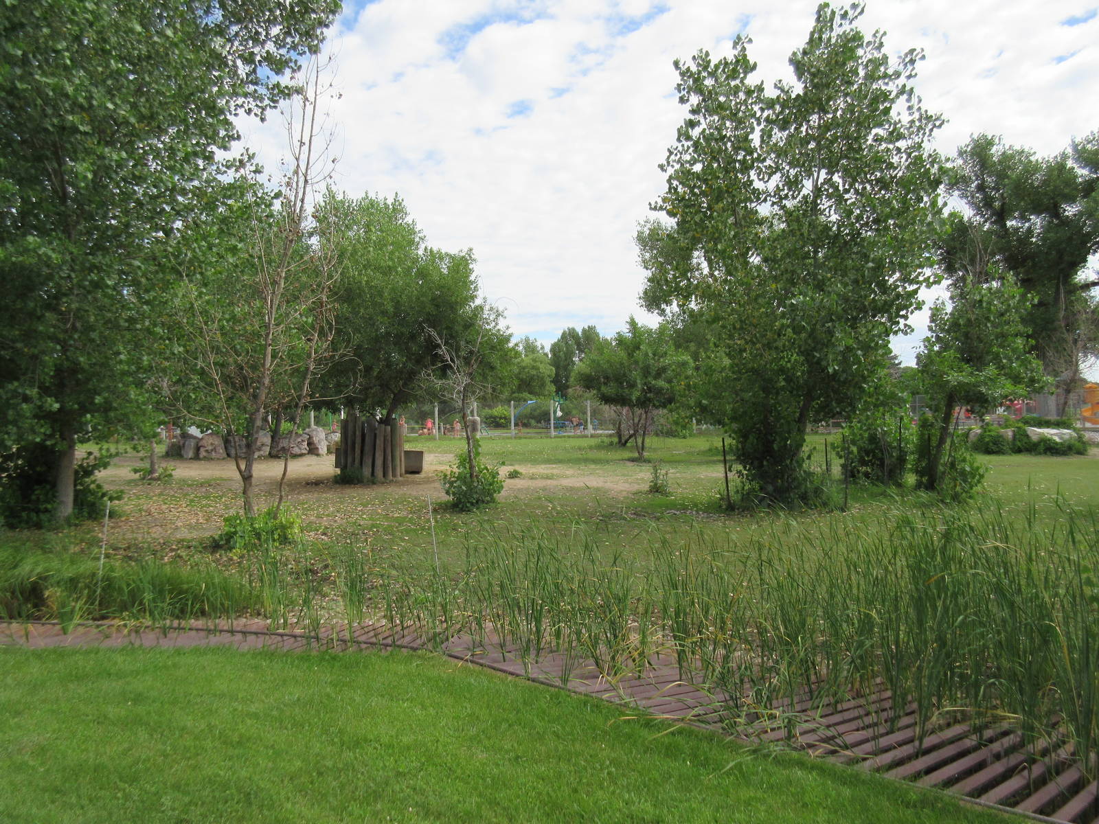 Grant's Zebra Exhibit