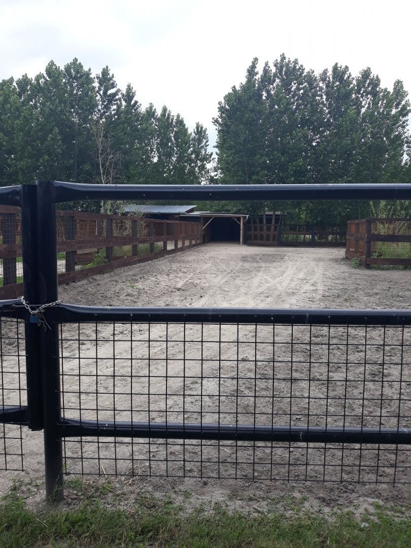 Grant's zebra exhibit
