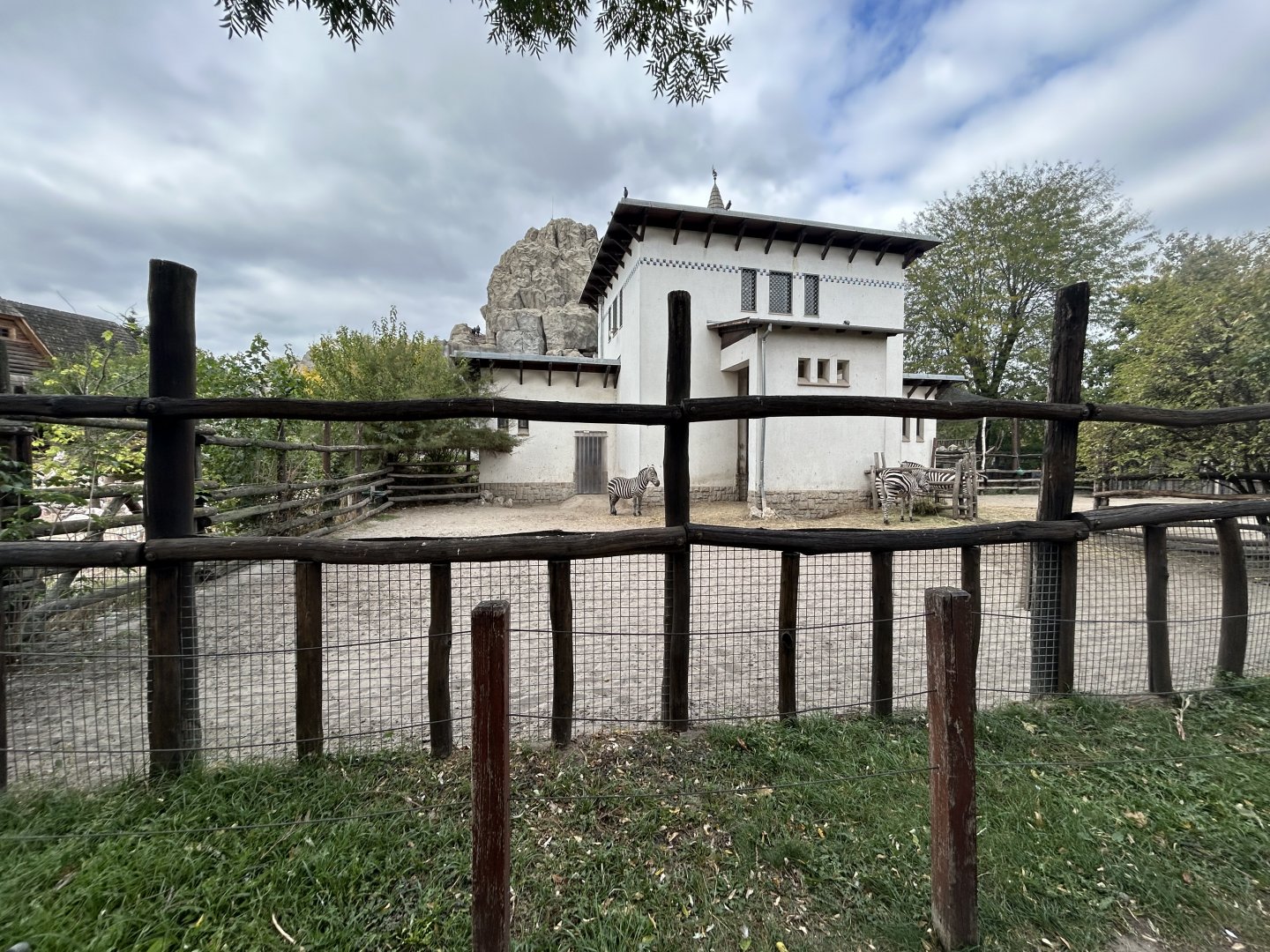 Grant’s Zebra Exhibit