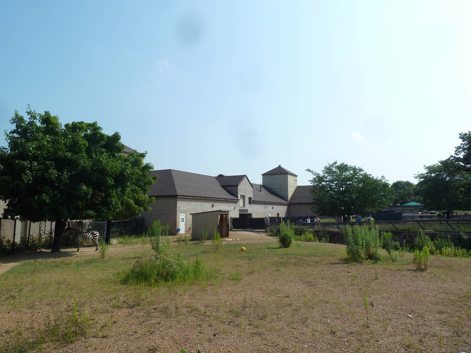 Grant's Zebra/Ostrich Exhibit