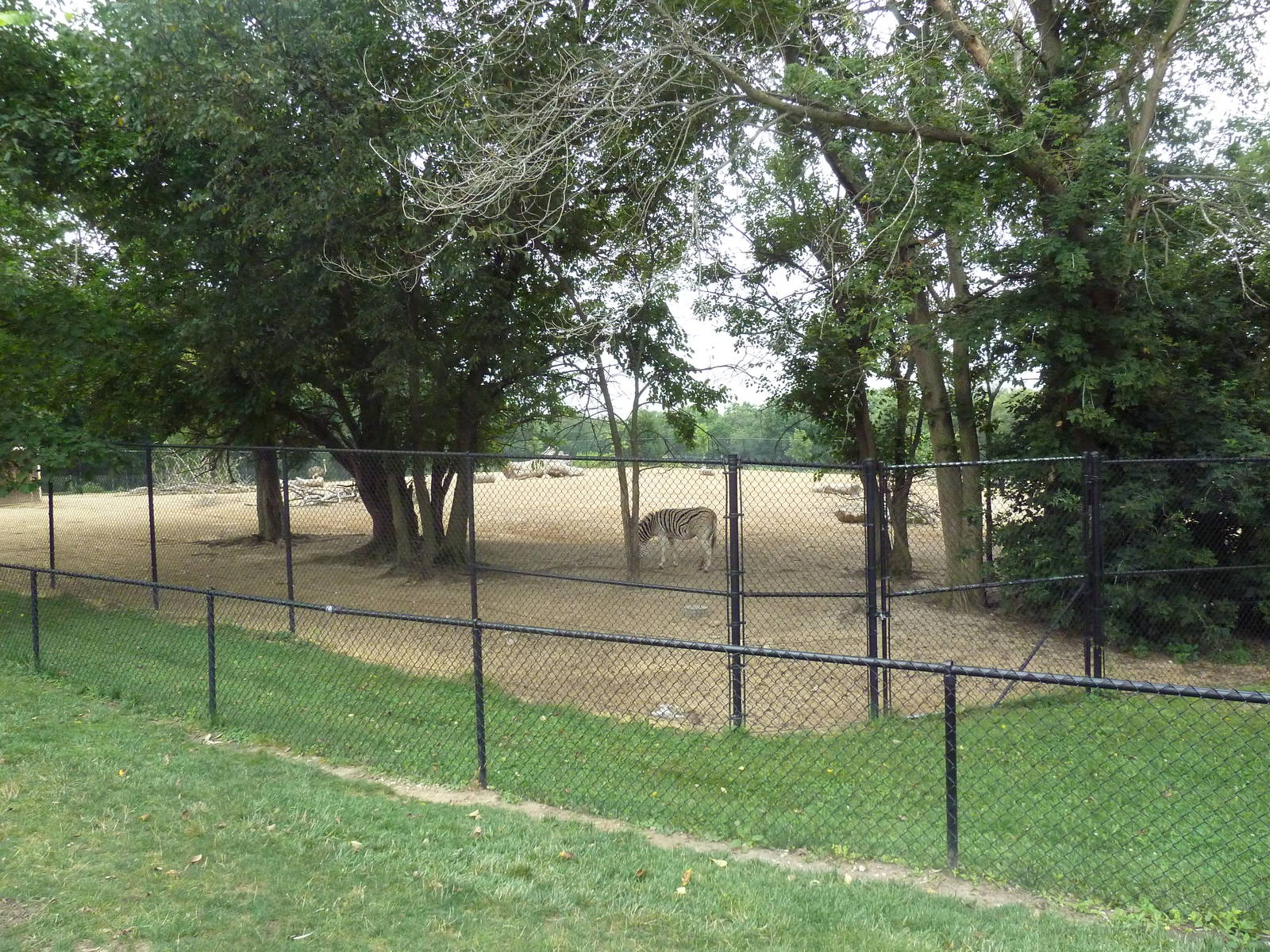 Grant's Zebra/Ostrich Exhibit