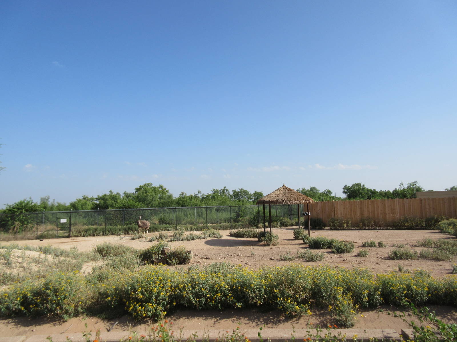 Grant's Zebra/Ostrich Exhibit