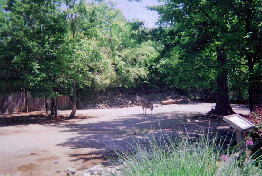 Grant's Zebra / Scimitar Horned Oryx Exhibit