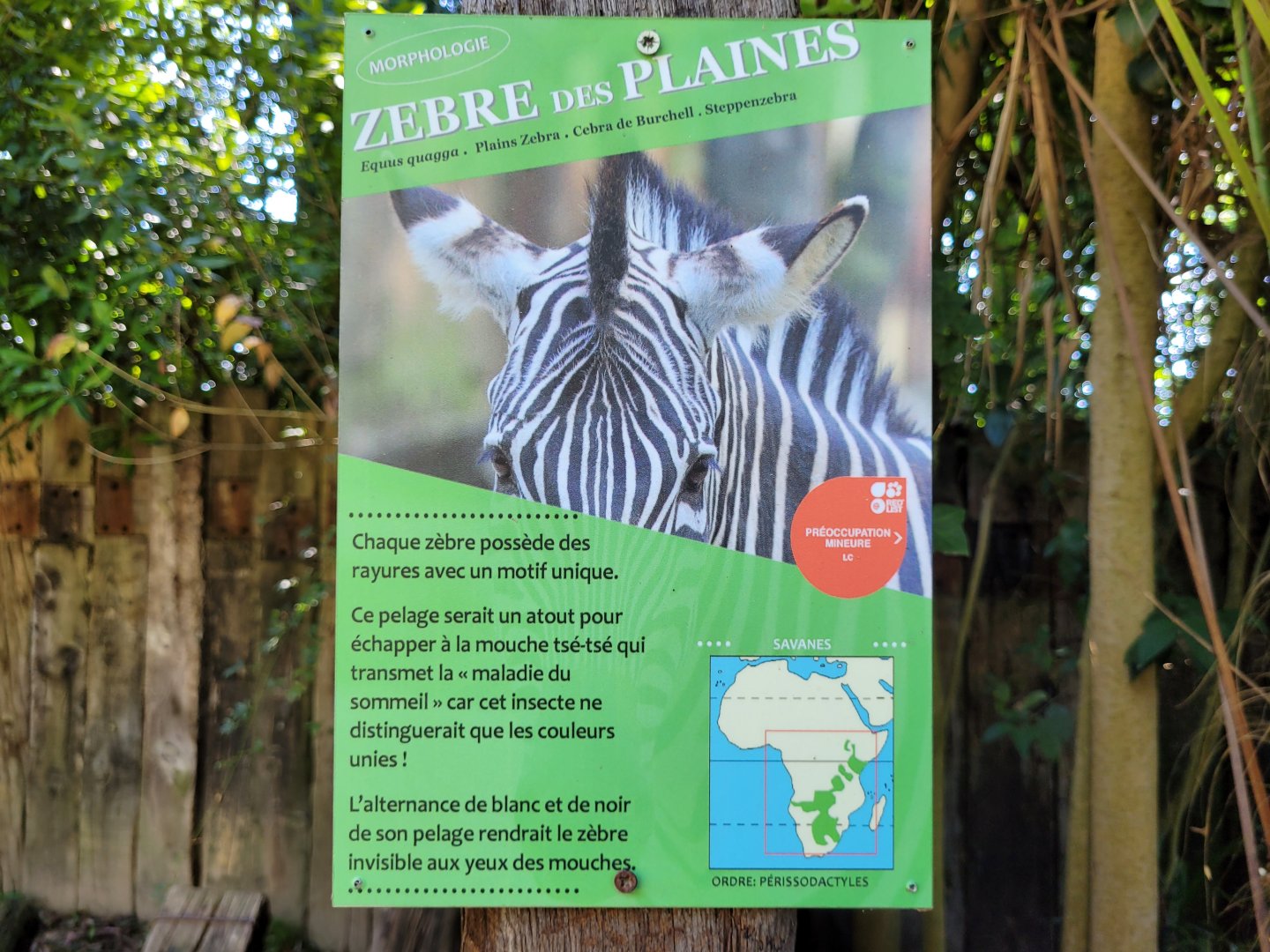 Grant's zebra sign -Zoo d'Asson (2022)