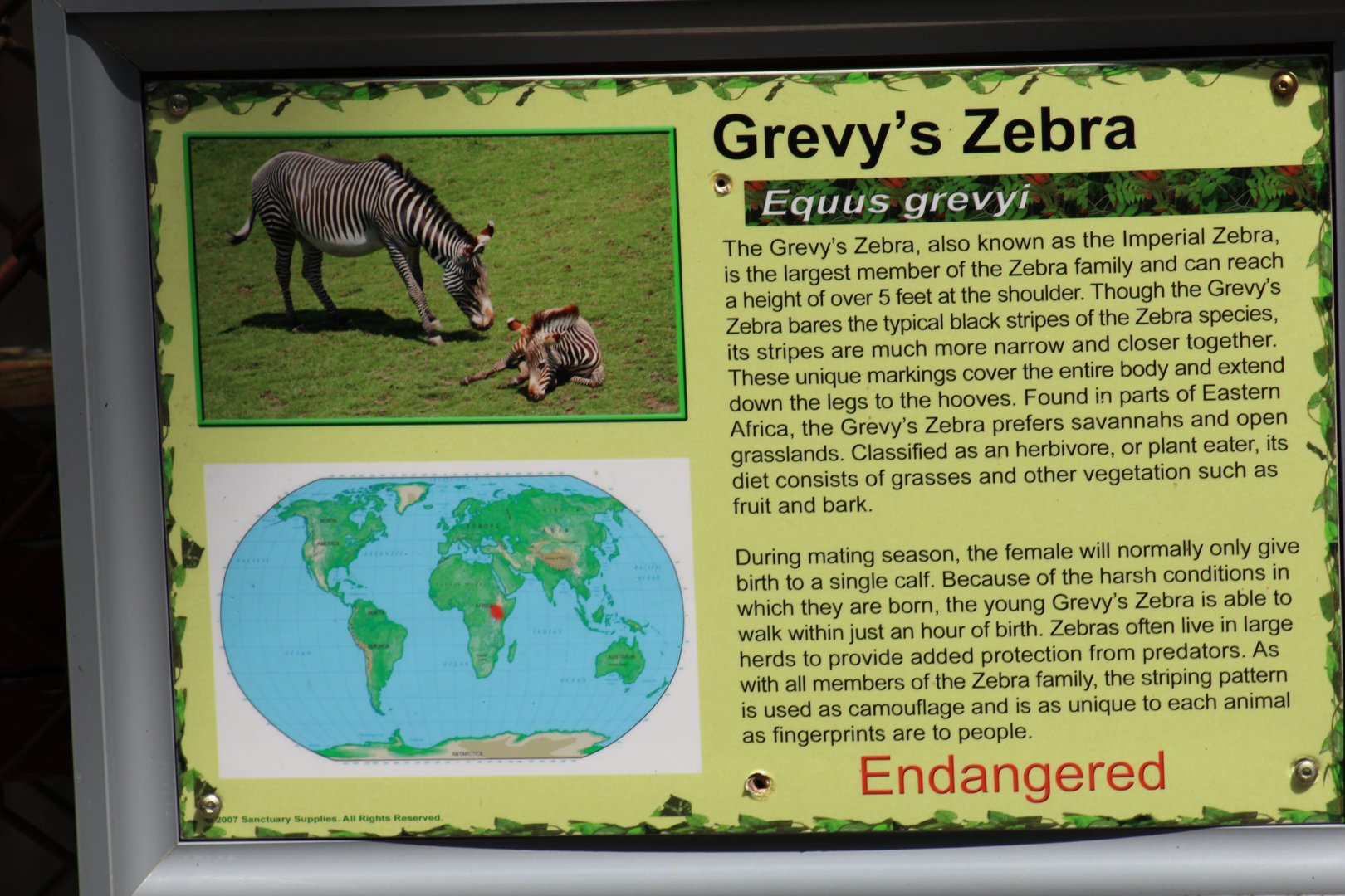 Grant's Zebra Signage