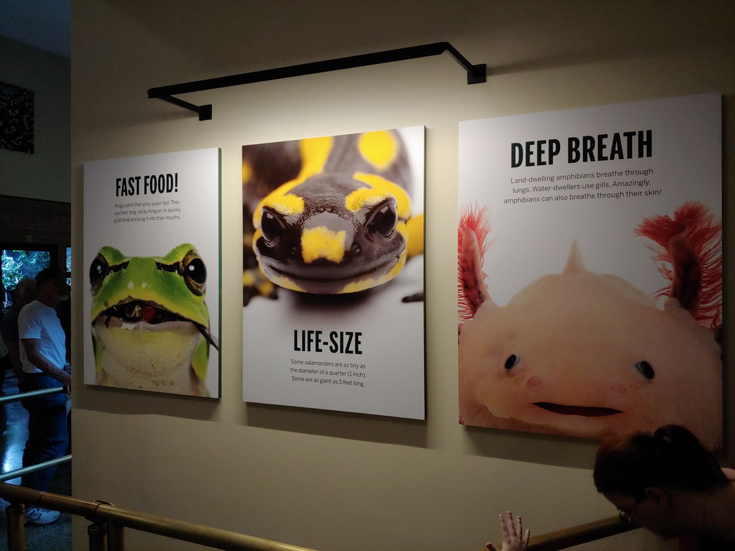 Graphic featuring none of the species displayed