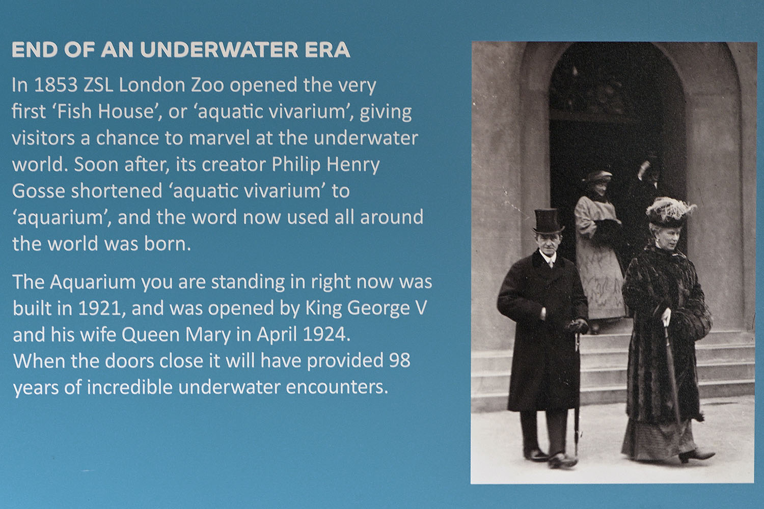 Graphic in Aquarium foyer