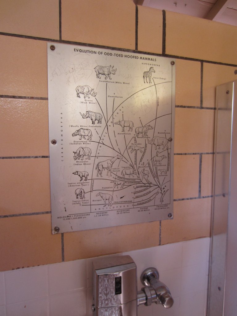 Graphic in the male toilets