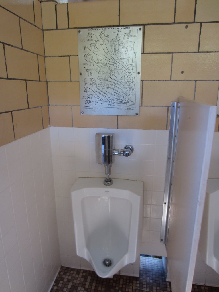 Graphic in the male toilets