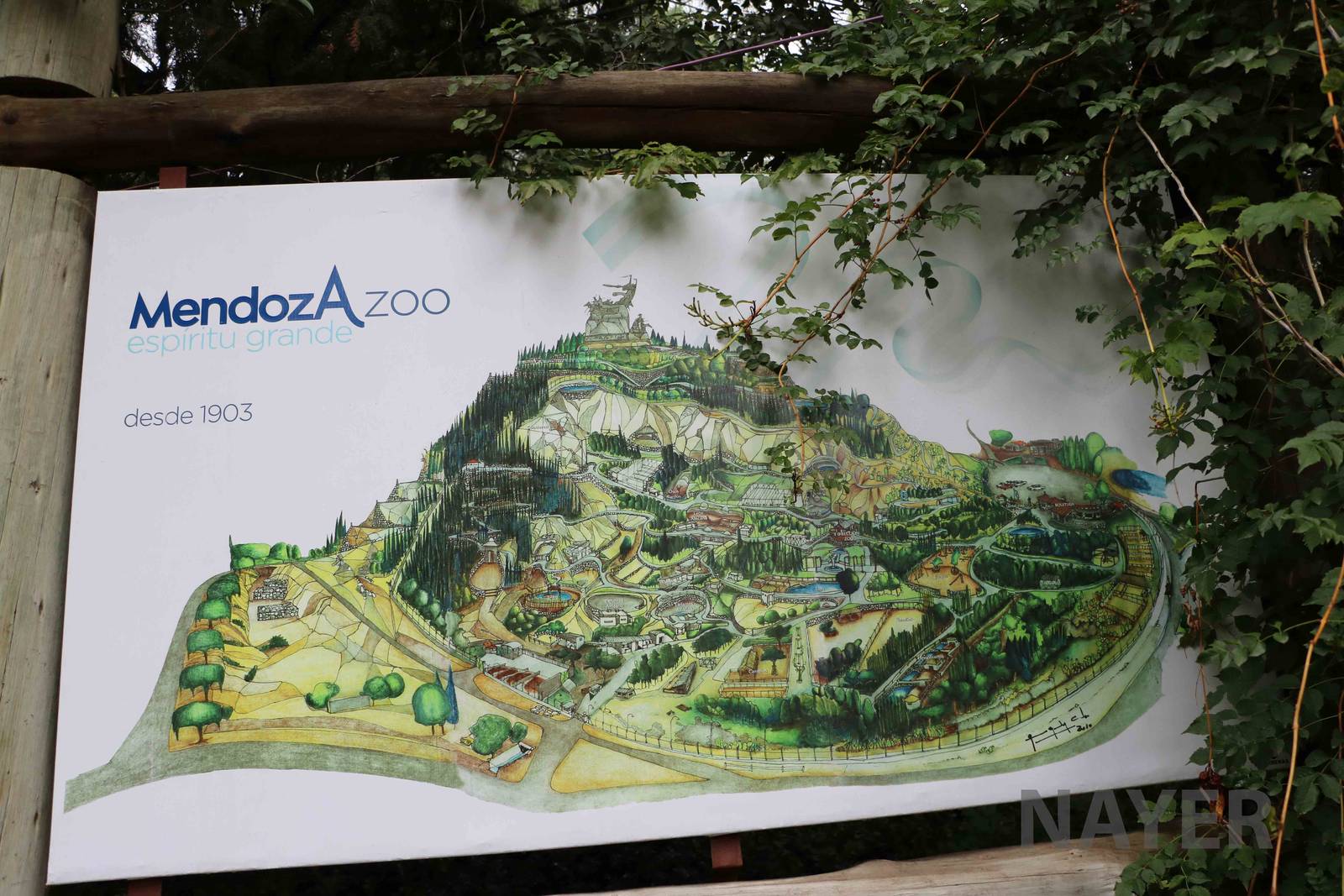 Graphic plan - Mendoza Zoo, April 2016