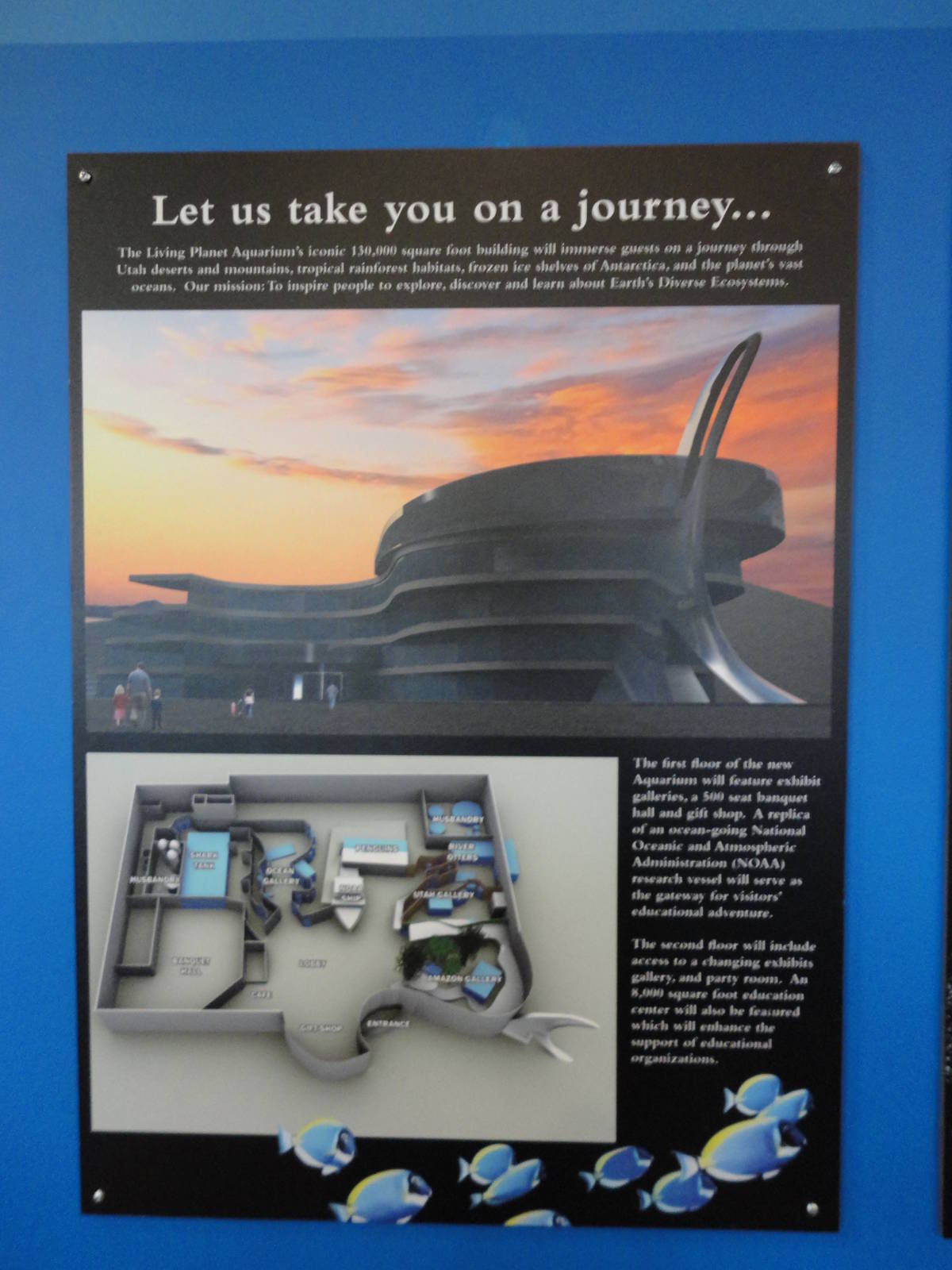 Graphics about What's Coming Next