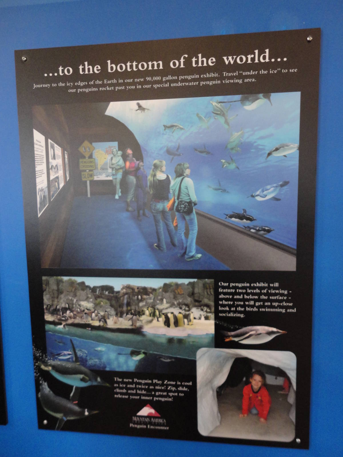 Graphics about What's Coming Next