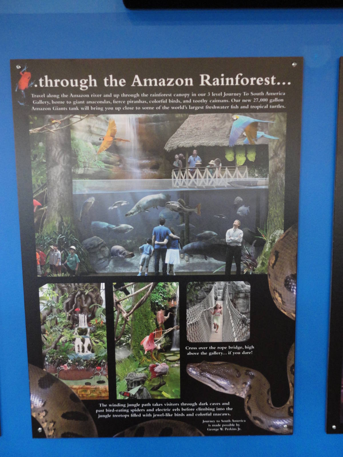 Graphics about What's Coming Next