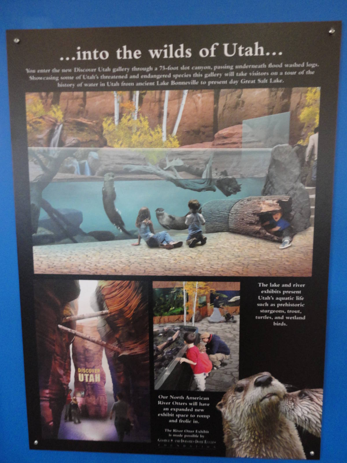 Graphics about What's Coming Next