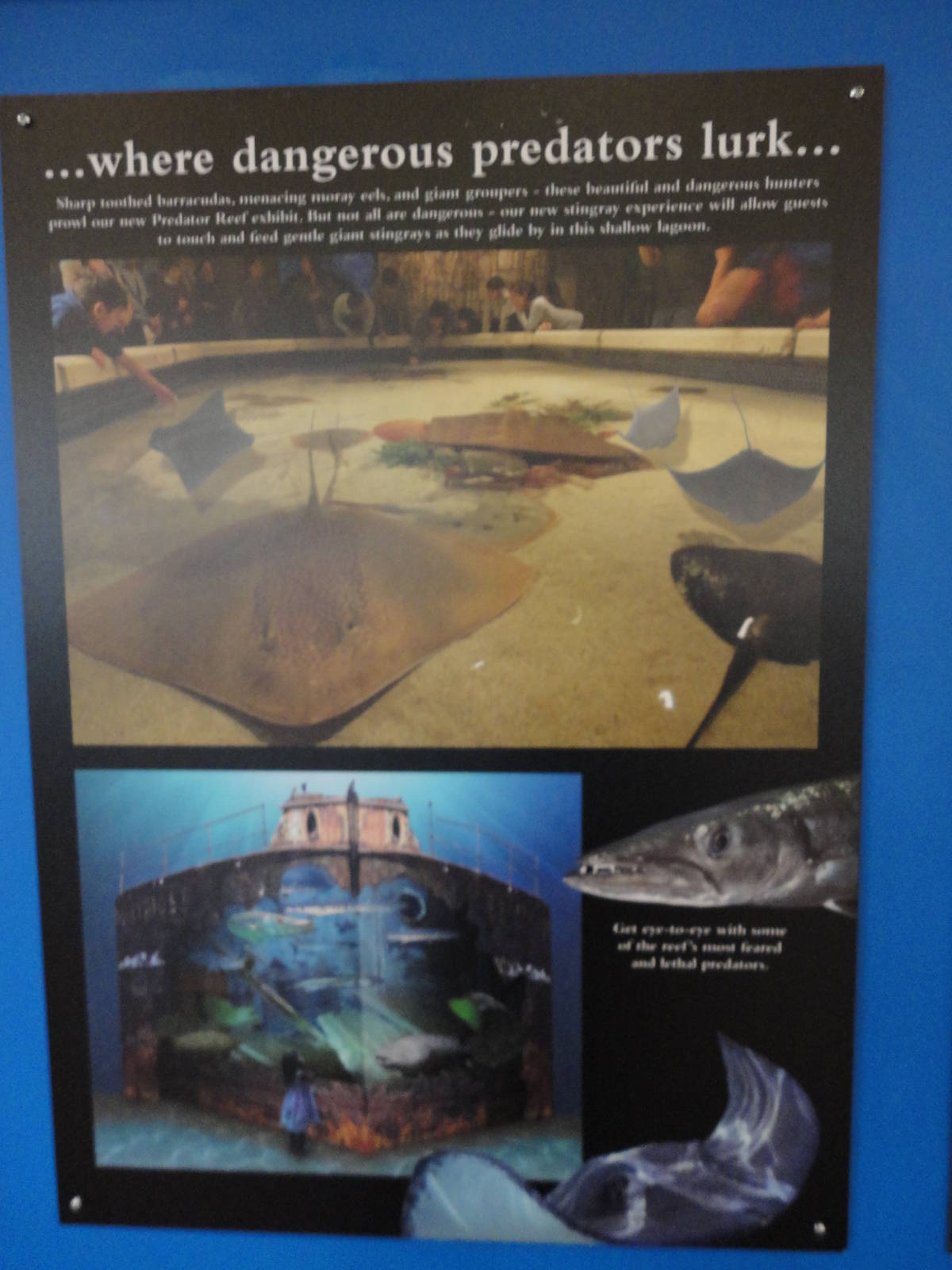 Graphics about What's Coming Next