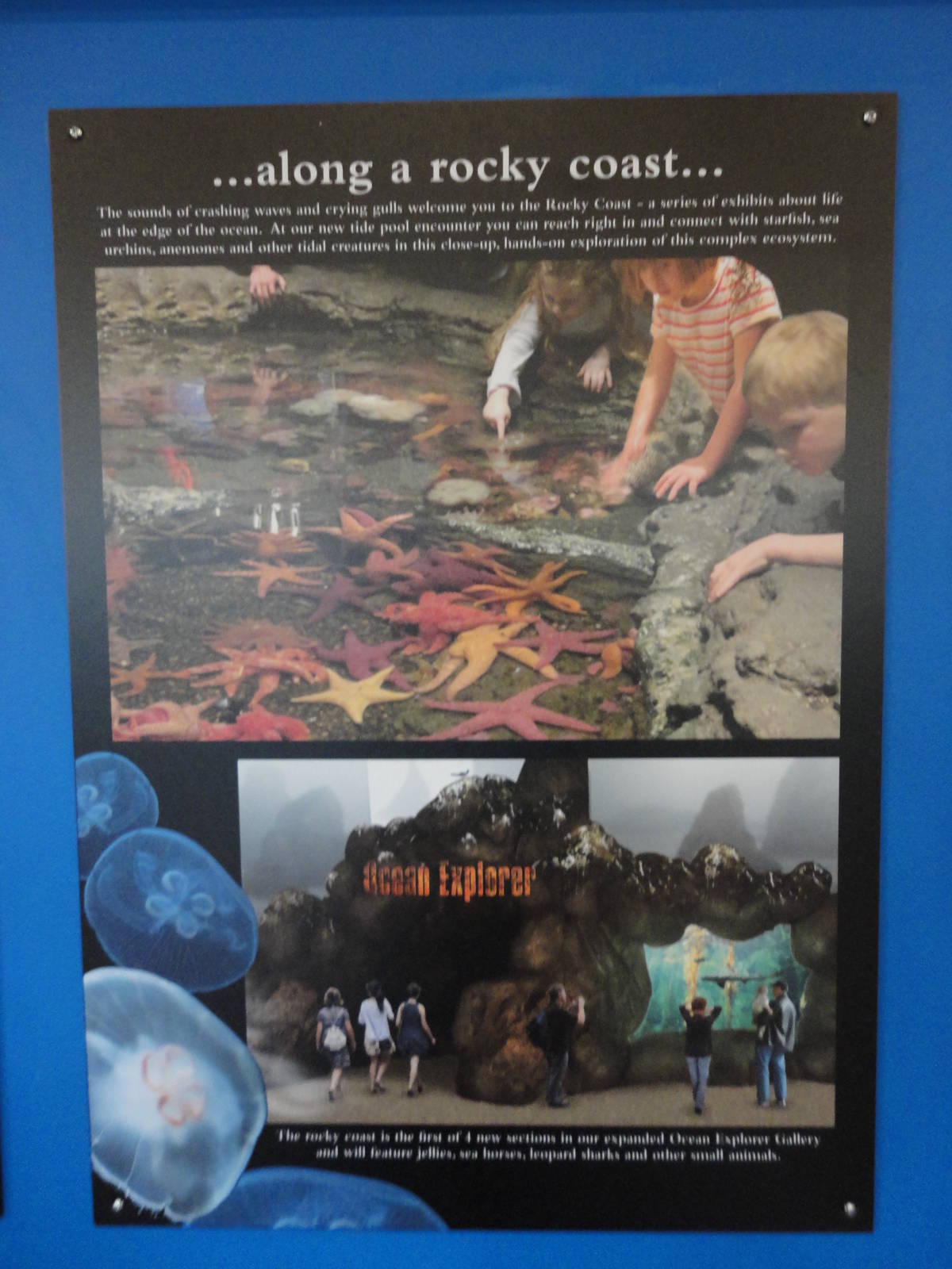 Graphics about What's Coming Next