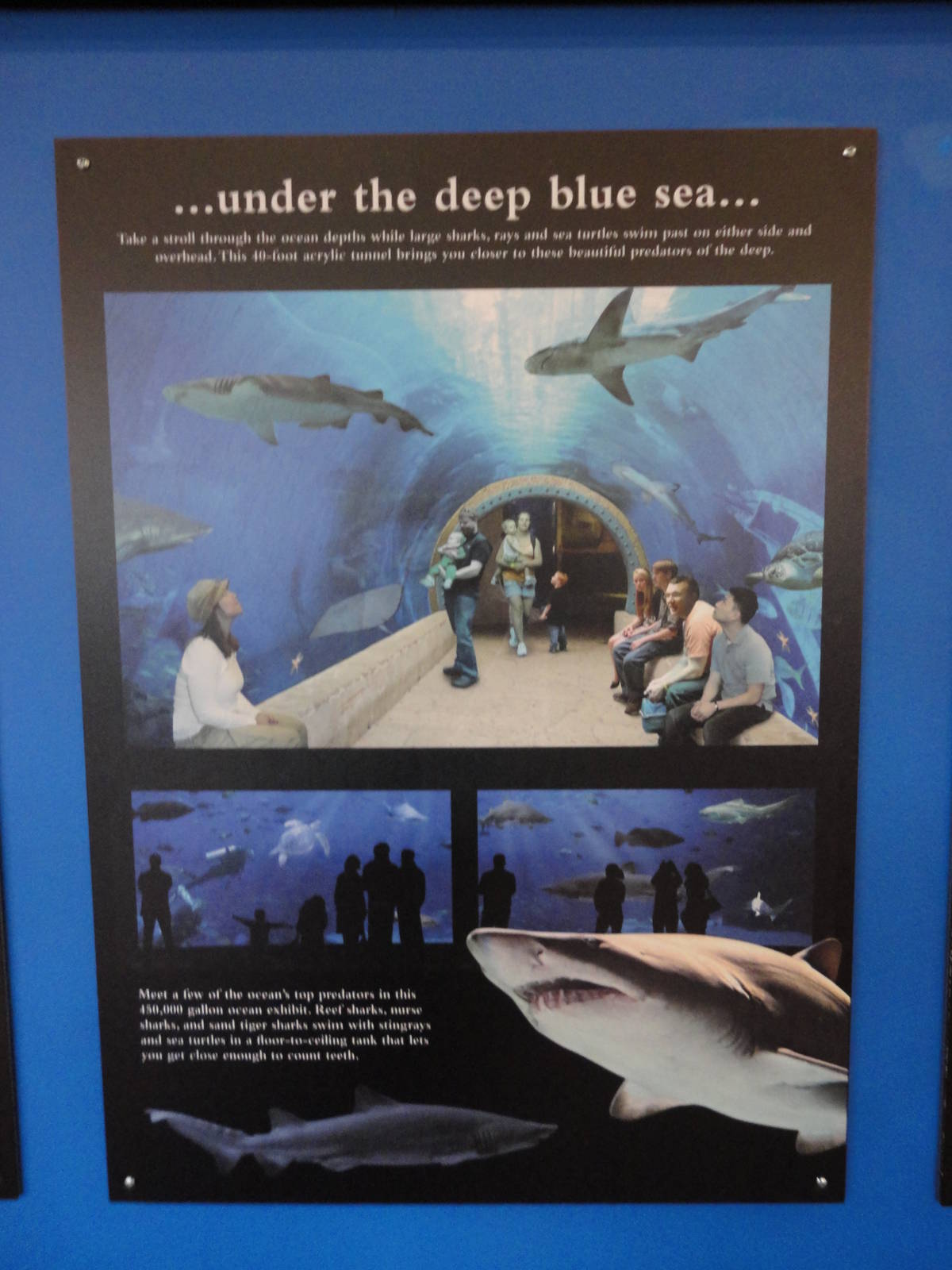 Graphics about What's Coming Next