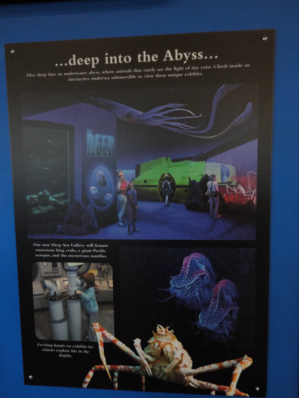 Graphics about What's Coming Next