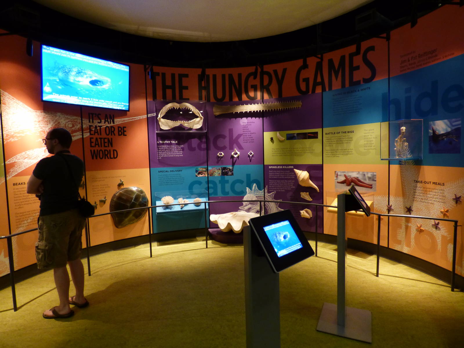 Graphics in Aquarium