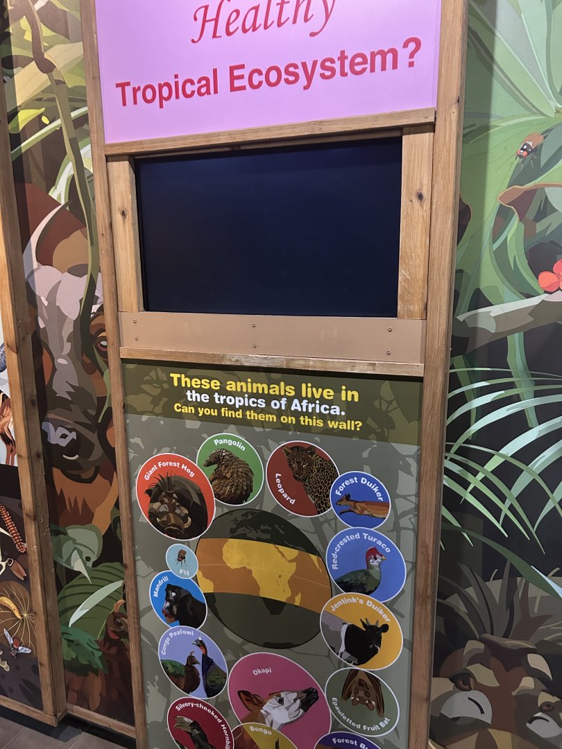 Graphics in the Tropics