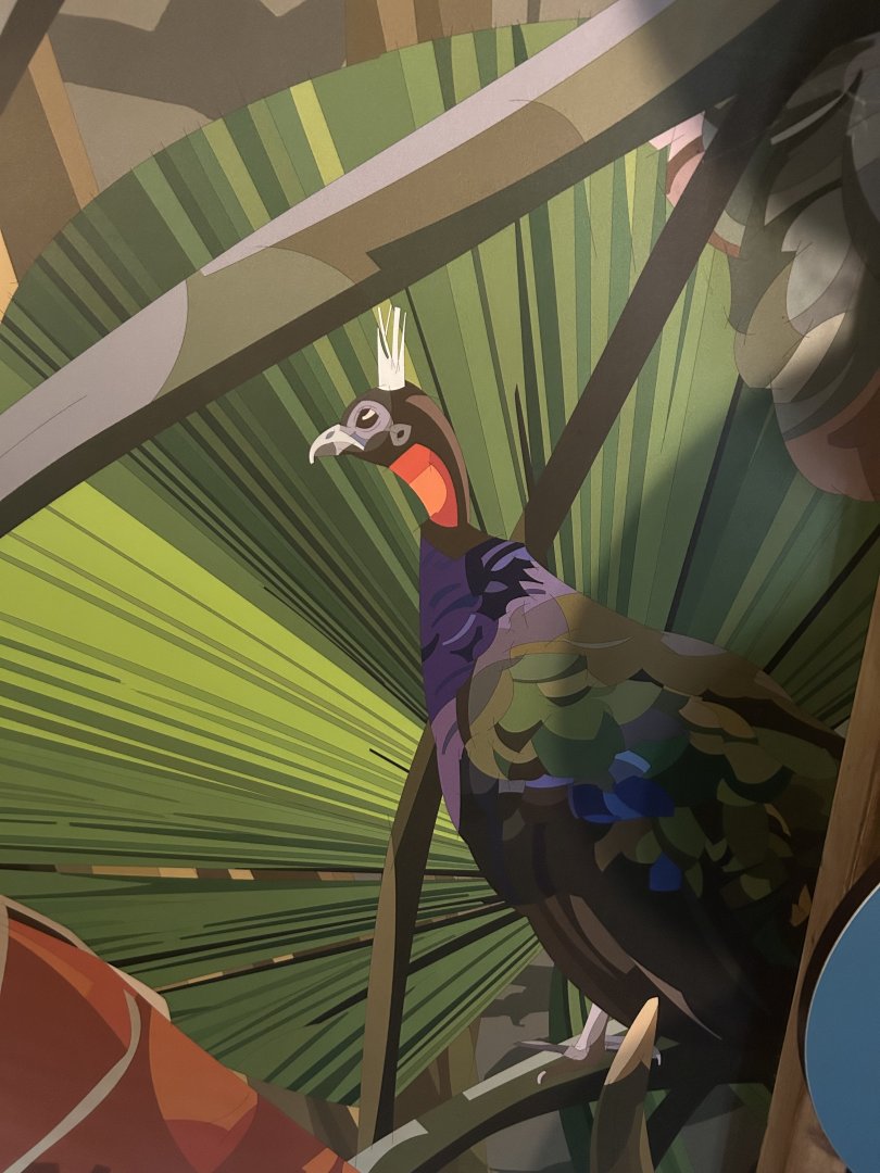 Graphics in the Tropics