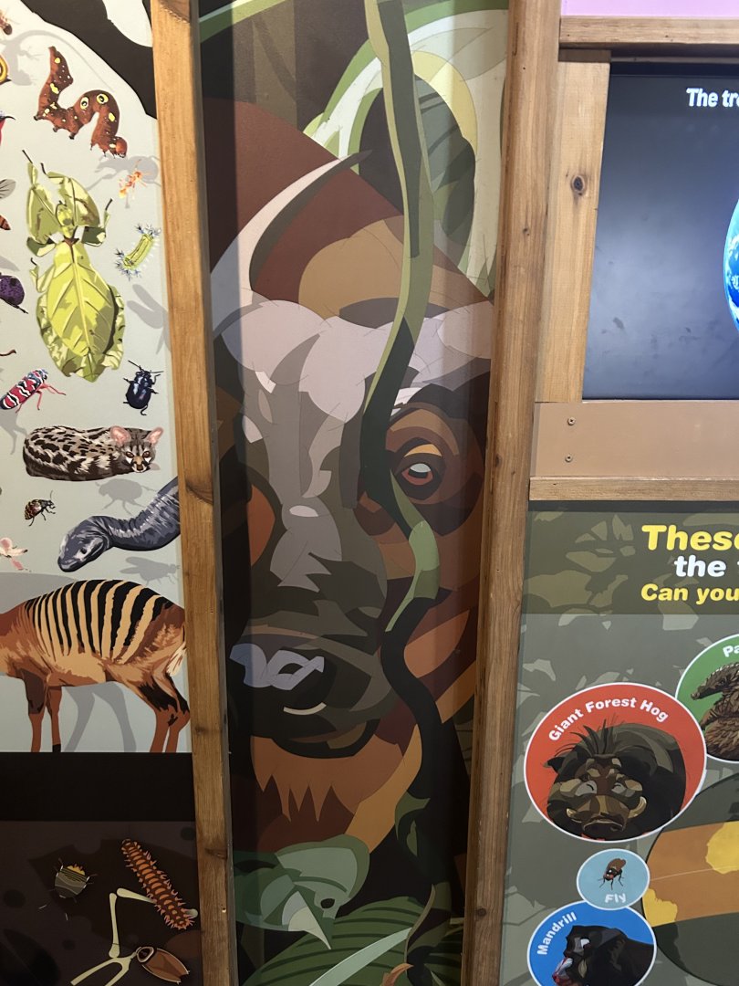 Graphics in the Tropics