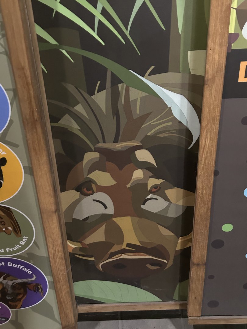 Graphics in the Tropics