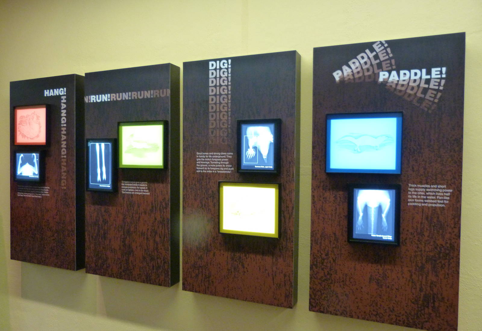 Graphics - Small Mammal House 12-4-12