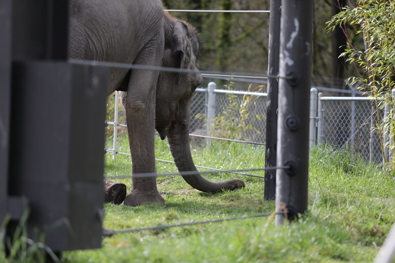 Grass is greener on the other side