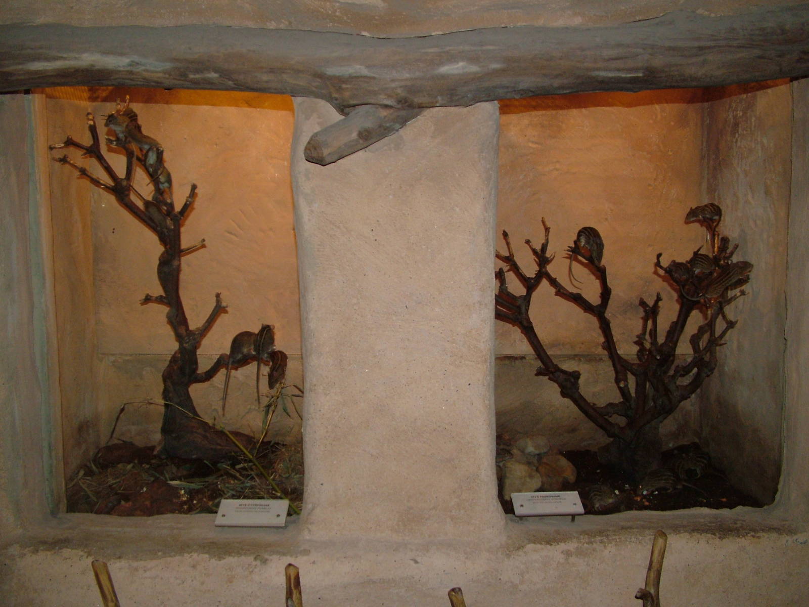 Grass mouse exhibits at Prague, 24/05/10