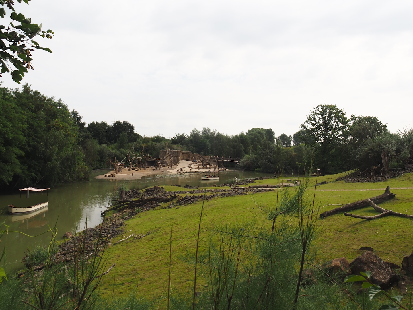 Grass savanna exhibit, Boat safari tour canal and Olive baboon island, 2024-08-05